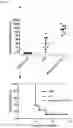 Fig. 09 - Poliovaccine