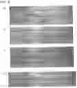 Fig. 03 - DRUG SUSTAINED-RELEASE CARRIER AND METHOD FOR PRODUCING SAME