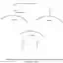 Fig. 01 - Cell internalizing compounds