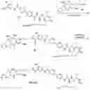 Fig. 01 - Antiproliferative compounds and conjugates made therefrom