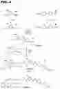Fig. 06 - Antiproliferative compounds and conjugates made therefrom