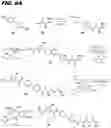 Fig. 09 - Antiproliferative compounds and conjugates made therefrom