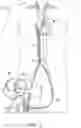 Fig. 02 - Priming tray for priming a fluid system