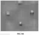 Fig. 07 - Microneedle patch for transdermal injections