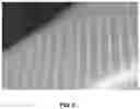 Fig. 08 - Microneedle patch for transdermal injections