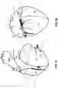 Fig. 02 - Methods and devices for ventricular therapy
