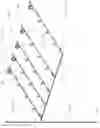Fig. 02 - Fire extinguishing system