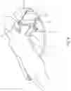 Fig. 07 - Training and rehabilitation device