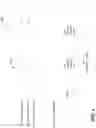 Fig. 04 - Spectating simulation