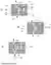 Fig. 02 - Columns for isolation, detection and use of biological cells
