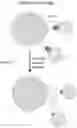 Fig. 07 - Columns for isolation, detection and use of biological cells