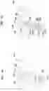 Fig. 08 - Seal arrangement for filter element; filter element assembly; and, methods