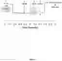 Fig. 08 - Microfluidic Devices And Methods For Cellular Thermal Shift Assays
