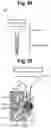 Fig. 28 - Apparatus for amplificating nucleic acid and fluorescence-detecting device