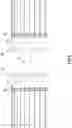 Fig. 07 - Apparatus and process for building tyres for vehicle wheels