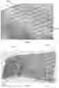 Fig. 06 - Multicomponent polymer resin, methods for applying the same, and composite laminate structure including the same