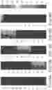 Fig. 06 - Printer and dryer for drying images on coated substrates in aqueous ink printers