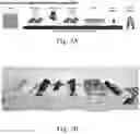 Fig. 07 - Printed polymeric articles, systems and methods