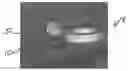 Fig. 01 - Hybrid towing bumper beam assembly
