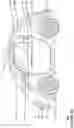 Fig. 03 - Position-variable seat back hinge stiffness for belt-integration seats