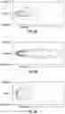 Fig. 06 - ADAPTIVE LIGHT BEAM UNIT AND USE OF SAME