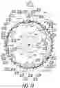 Fig. 16 - Bicycle sprocket and bicycle drive train