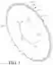 Fig. 02 - Bicycle Chainring