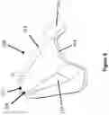 Fig. 09 - Ergonomic kickboard