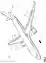 Fig. 02 - Flight control surface assembly