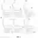 Fig. 08 - Passenger seat entertainment system