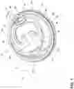 Fig. 02 - Drink lid for a cup