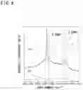 Fig. 05 - Carbon material and method for manufacturing carbon material