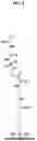 Fig. 09 - Pre-assembled, protected, chemically stable, chemoselective linkers