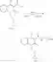 Fig. 28 - Process for the preparation of quinolone based compounds
