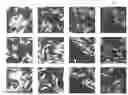 Fig. 01 - Fluorescent compounds