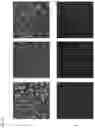 Fig. 15 - Fluorescent compounds