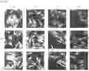 Fig. 18 - Fluorescent compounds