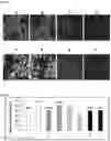 Fig. 33 - Fluorescent compounds