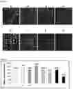 Fig. 34 - Fluorescent compounds