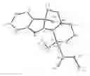 Fig. 07 - Analogs of vincamine and uses thereof