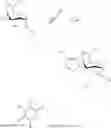 Fig. 11 - Galactoside inhibitor of galectins
