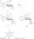 Fig. 13 - Galactoside inhibitor of galectins