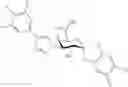 Fig. 188 - Galactoside inhibitor of galectins