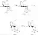Fig. 19 - Galactoside inhibitor of galectins