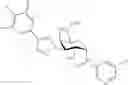 Fig. 428 - Galactoside inhibitor of galectins