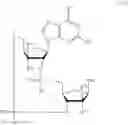 Fig. 04 - 2'3'-CYCLIC DINUCLEOTIDES COMPRISING CARBOCYCLIC NUCLEOTIDE