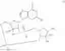Fig. 06 - 2'3'-CYCLIC DINUCLEOTIDES COMPRISING CARBOCYCLIC NUCLEOTIDE