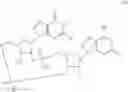 Fig. 31 - 2'3'-CYCLIC DINUCLEOTIDES COMPRISING CARBOCYCLIC NUCLEOTIDE