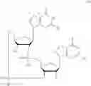 Fig. 32 - 2'3'-CYCLIC DINUCLEOTIDES COMPRISING CARBOCYCLIC NUCLEOTIDE