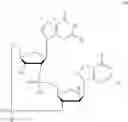 Fig. 33 - 2'3'-CYCLIC DINUCLEOTIDES COMPRISING CARBOCYCLIC NUCLEOTIDE